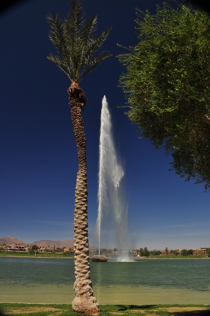 the fountain